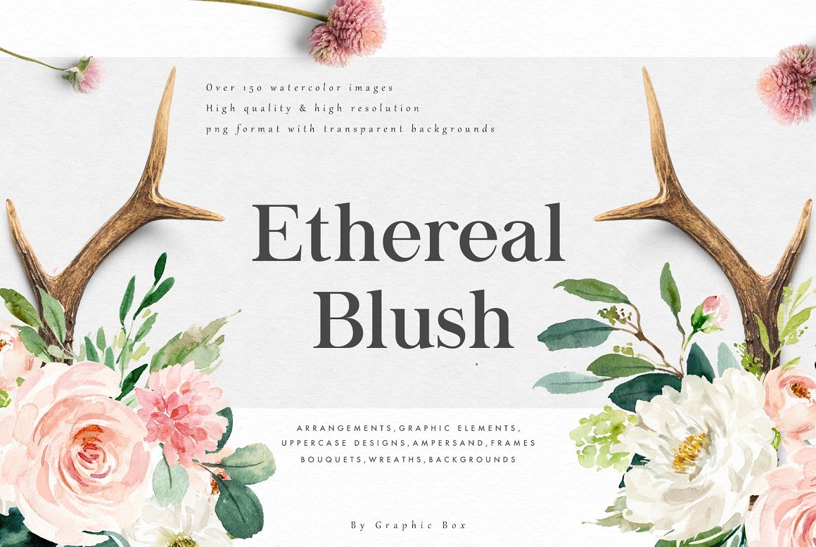 Ethereal Blush Florals Graphic Set