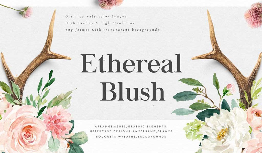 Ethereal Blush Florals Graphic Set