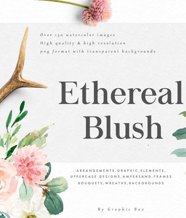 Ethereal Blush Florals Graphic Set