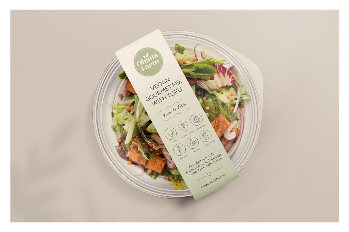 Sustainable Packaging Icons