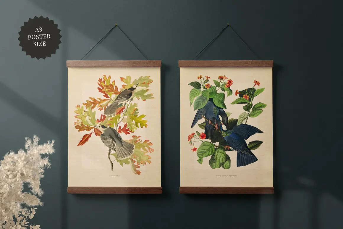 Vintage Art Prints Vol. 1