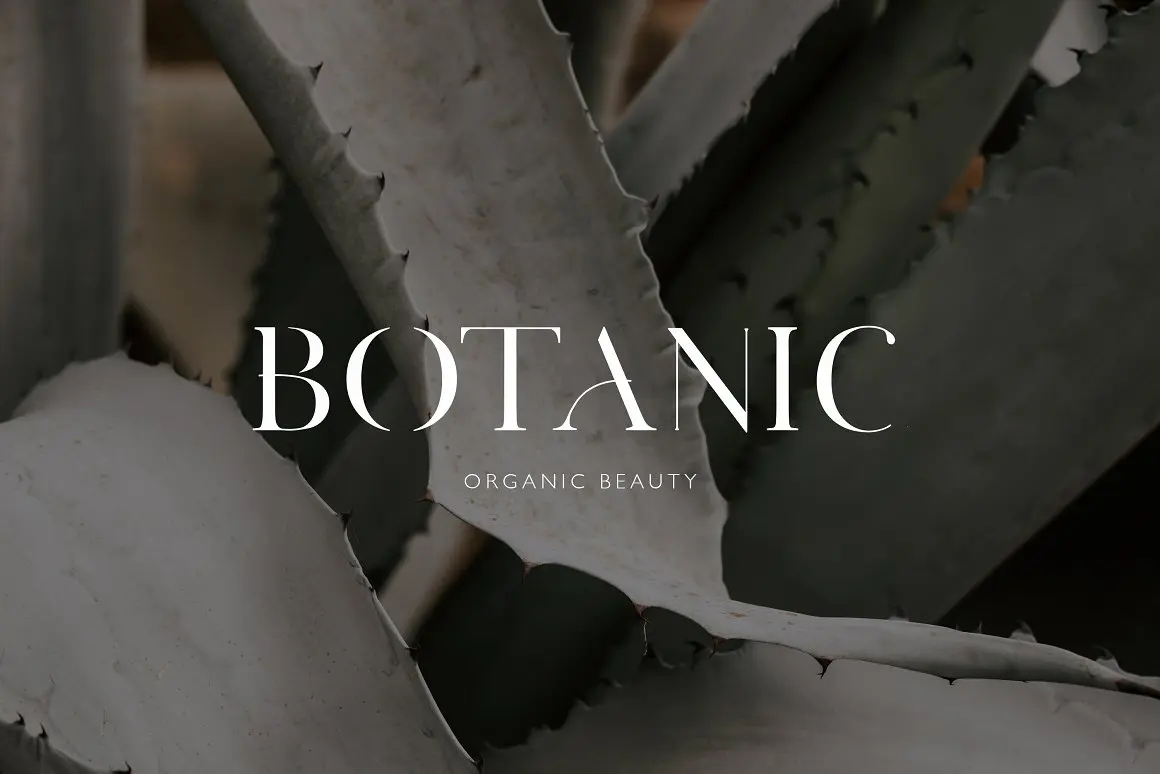 Adore Modern Serif Font