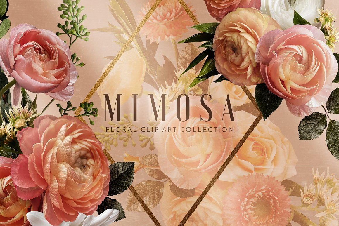 Floral Art Collection - Mimosa
