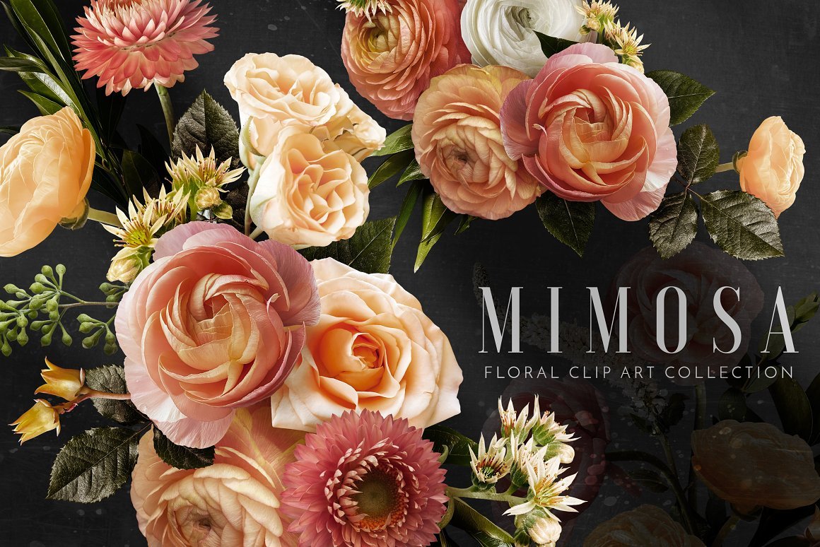 Floral Art Collection - Mimosa