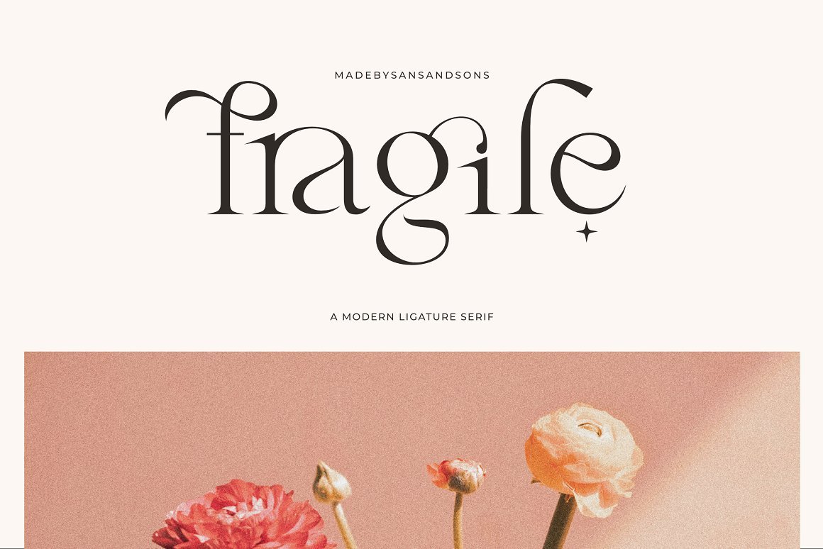 Fragile - Modern Serif