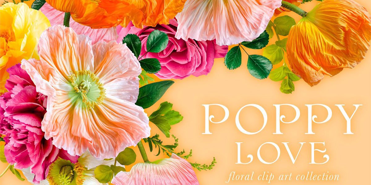 Poppy Love Floral Clip Art