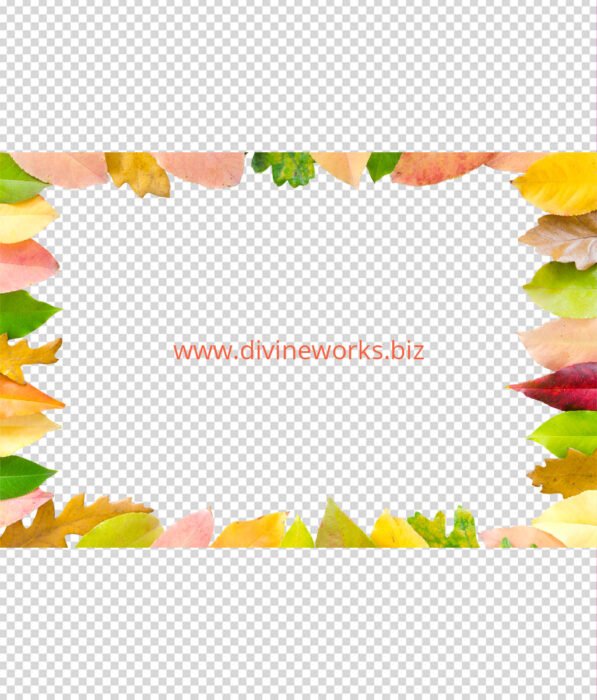 Transparent Leaf Border Png