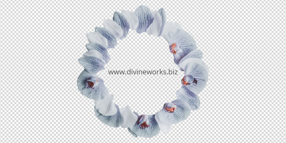 Orchid Frame Png Image