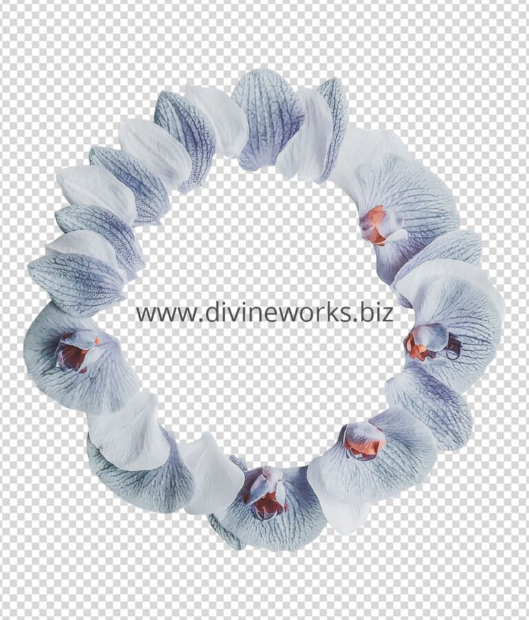 Orchid Frame Png Image