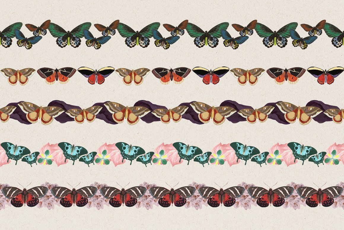 Butterfly Brushes & Patterns