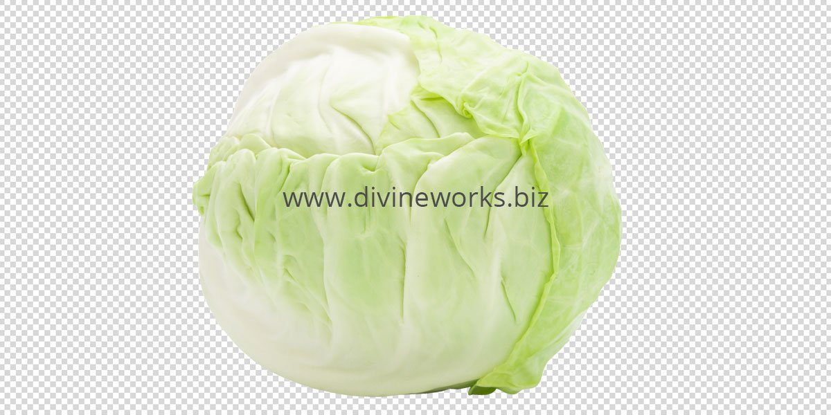 Transparent Cabbage Png