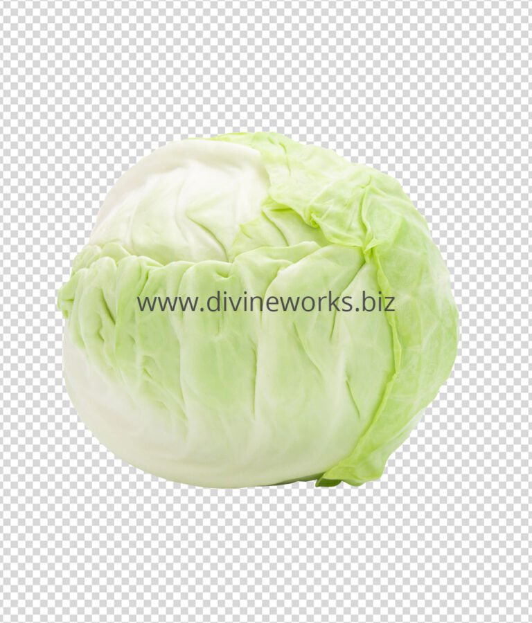 Transparent Cabbage Png