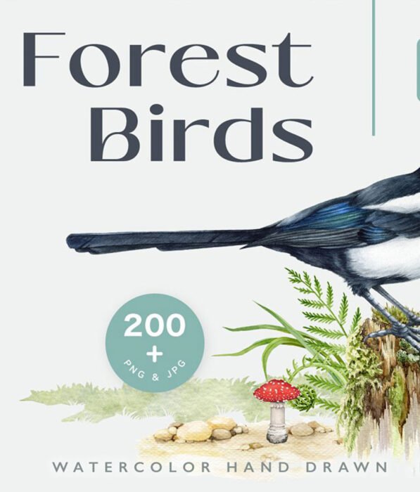 Forest Birds Watercolor Set