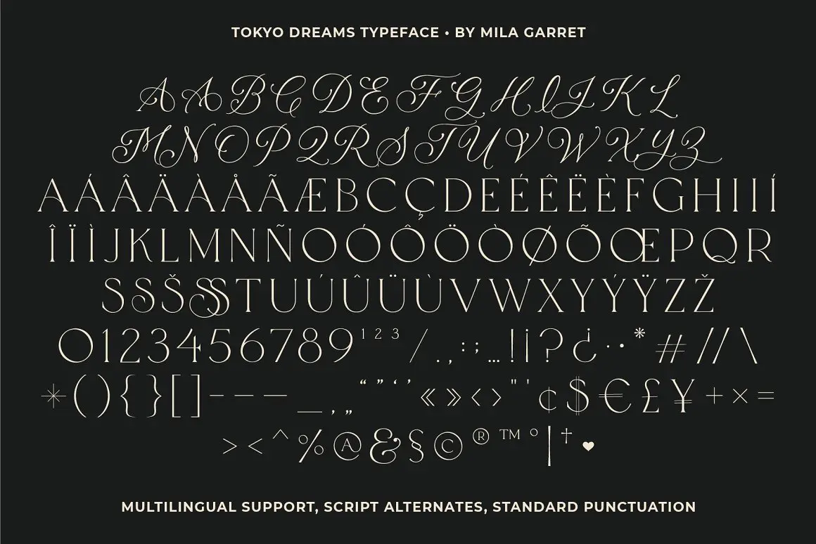 Tokyo Dreams Display Ligature Serif