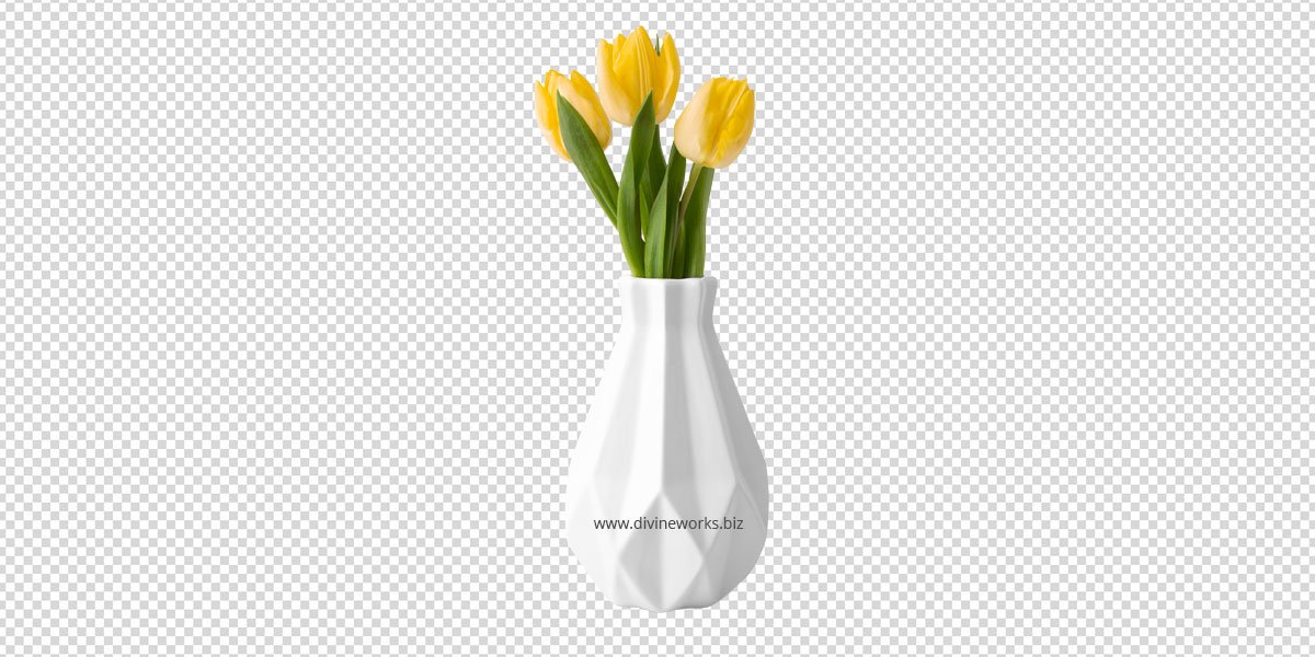 Transparent Flower Vase Png