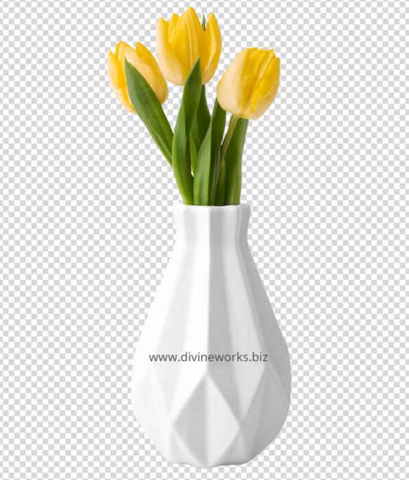 Transparent Flower Vase Png