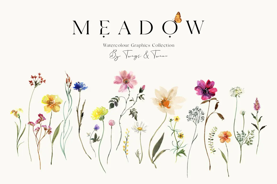 Meadow Watercolor Flowers