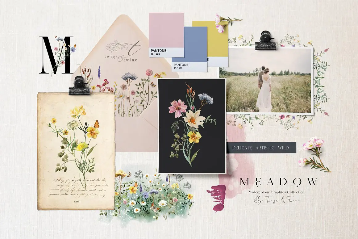 Meadow Watercolor Flowers
