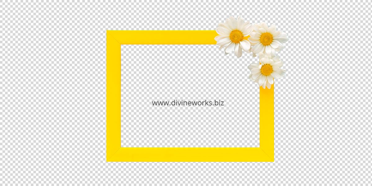 Yellow Flower Frame Png