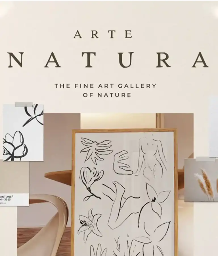 Autumn Flower Illustrations