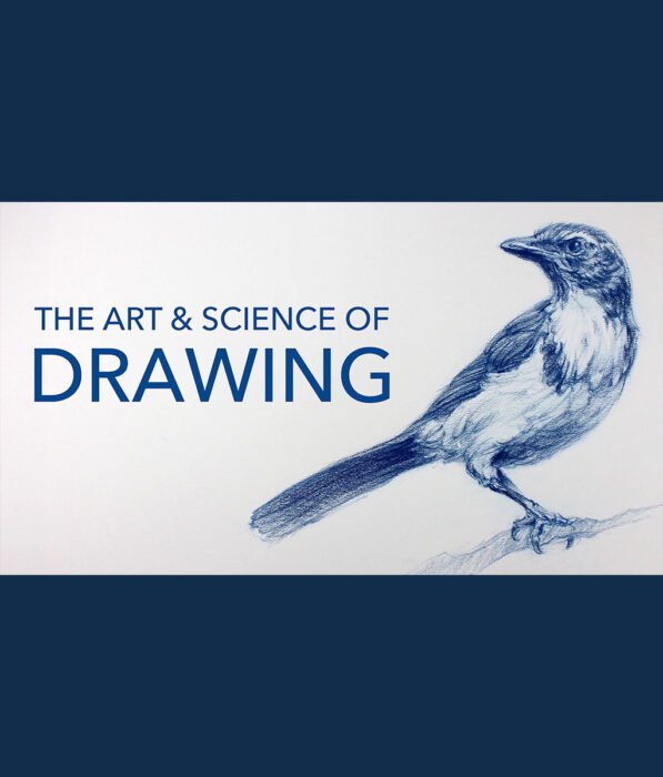 Basic Skills of Drawing