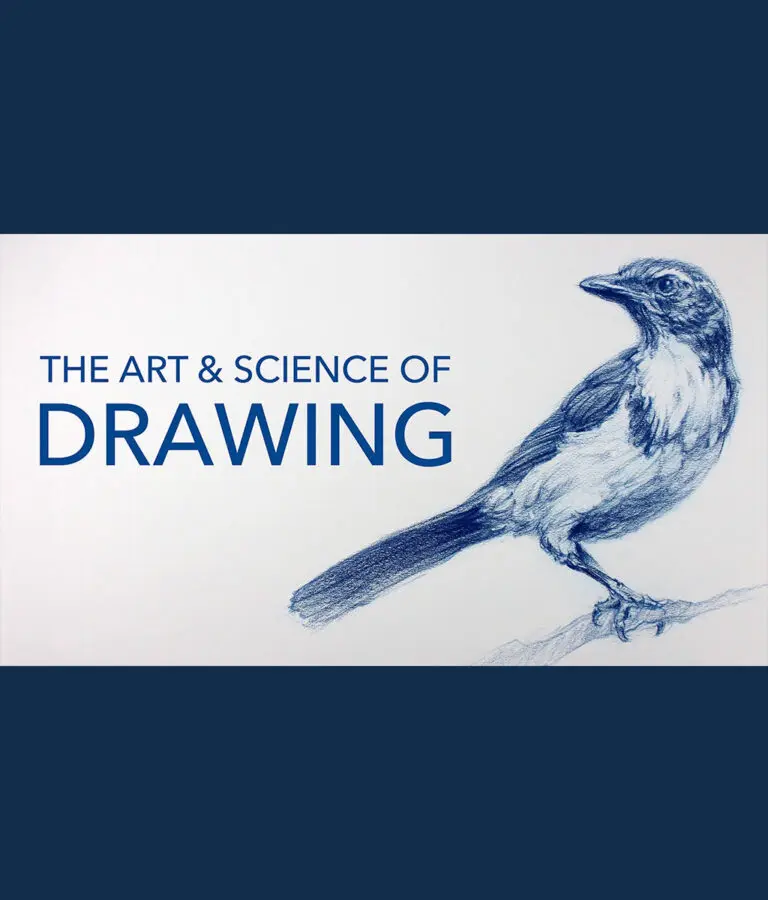 Basic Skills of Drawing