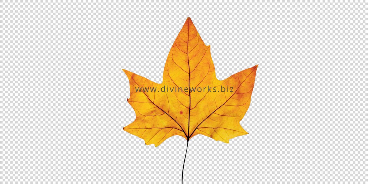 Golden Maple Leaf Png