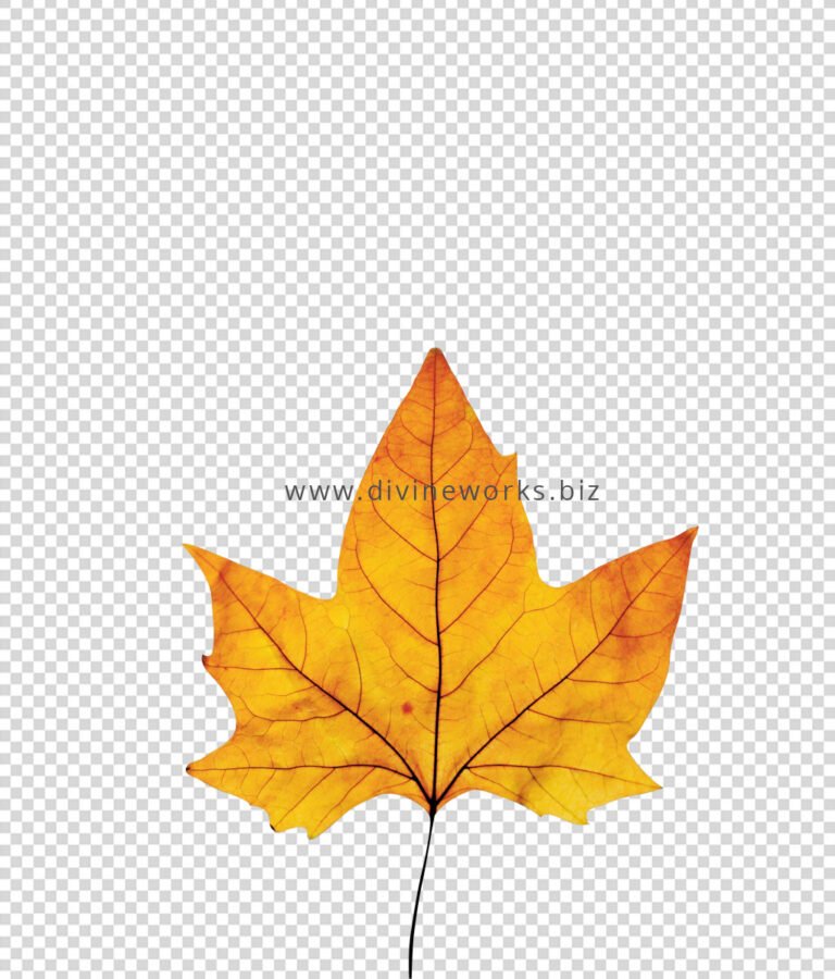 Golden Maple Leaf Png