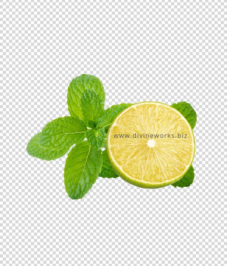 Lime Sliced and Mint Leaves Png Free Download