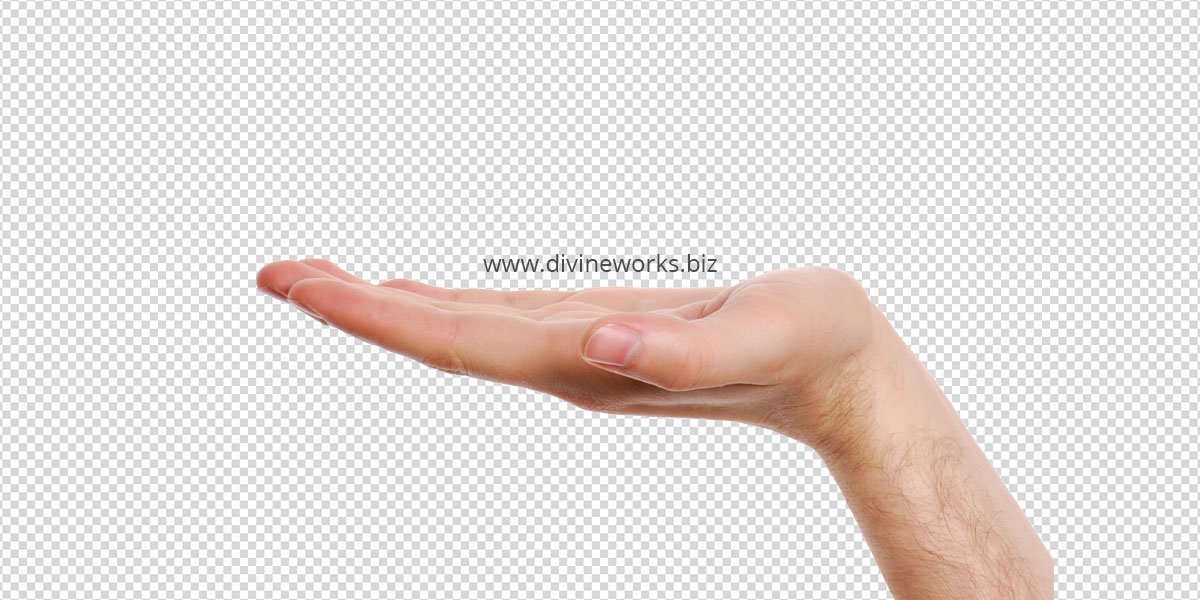 Transparent Holding Hand Png Image