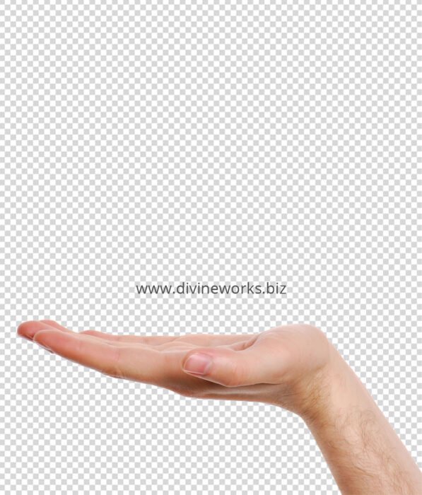 Transparent Holding Hand Png Image