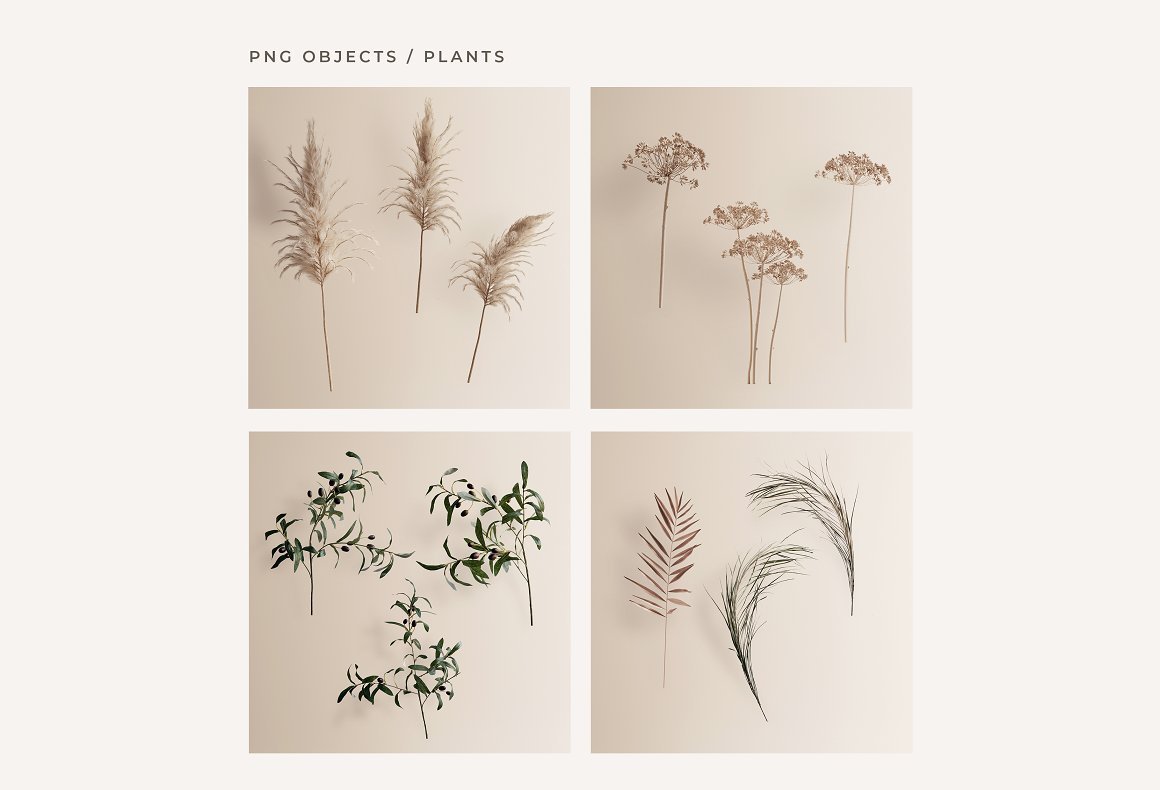 Video Frame Mockup Creator