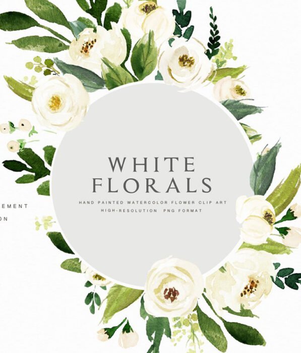 Watercolor White Flower Clip Art