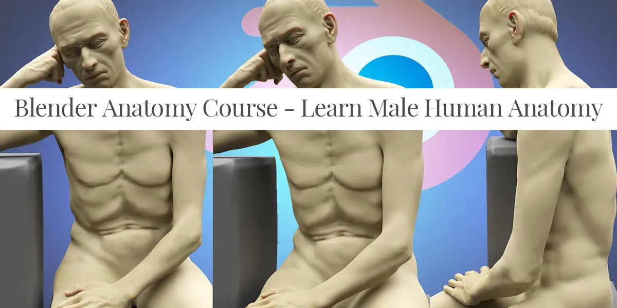 Blender Anatomy Course : Learn Male Human Anatomy