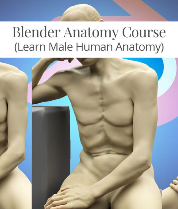 Blender Anatomy Course : Learn Male Human Anatomy