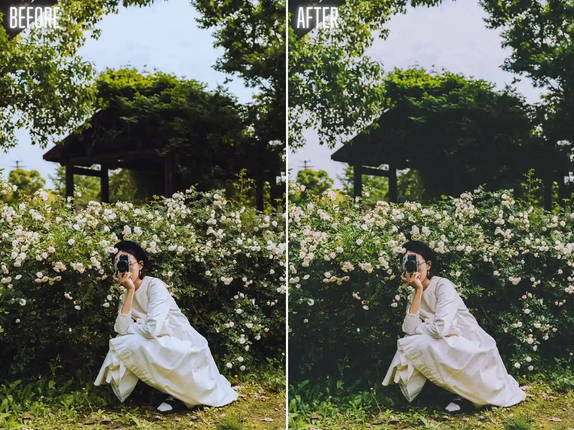 Best Light Room Presets for Film Effects