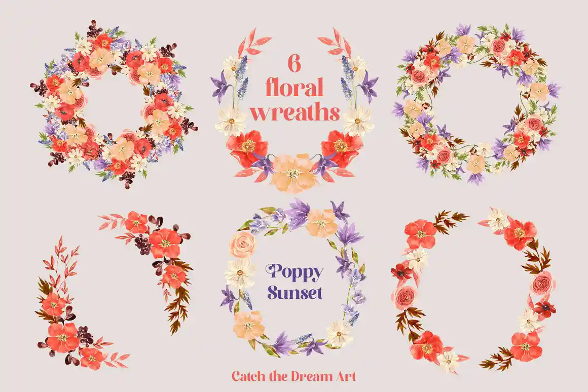 Poppy Flowers Illustrations