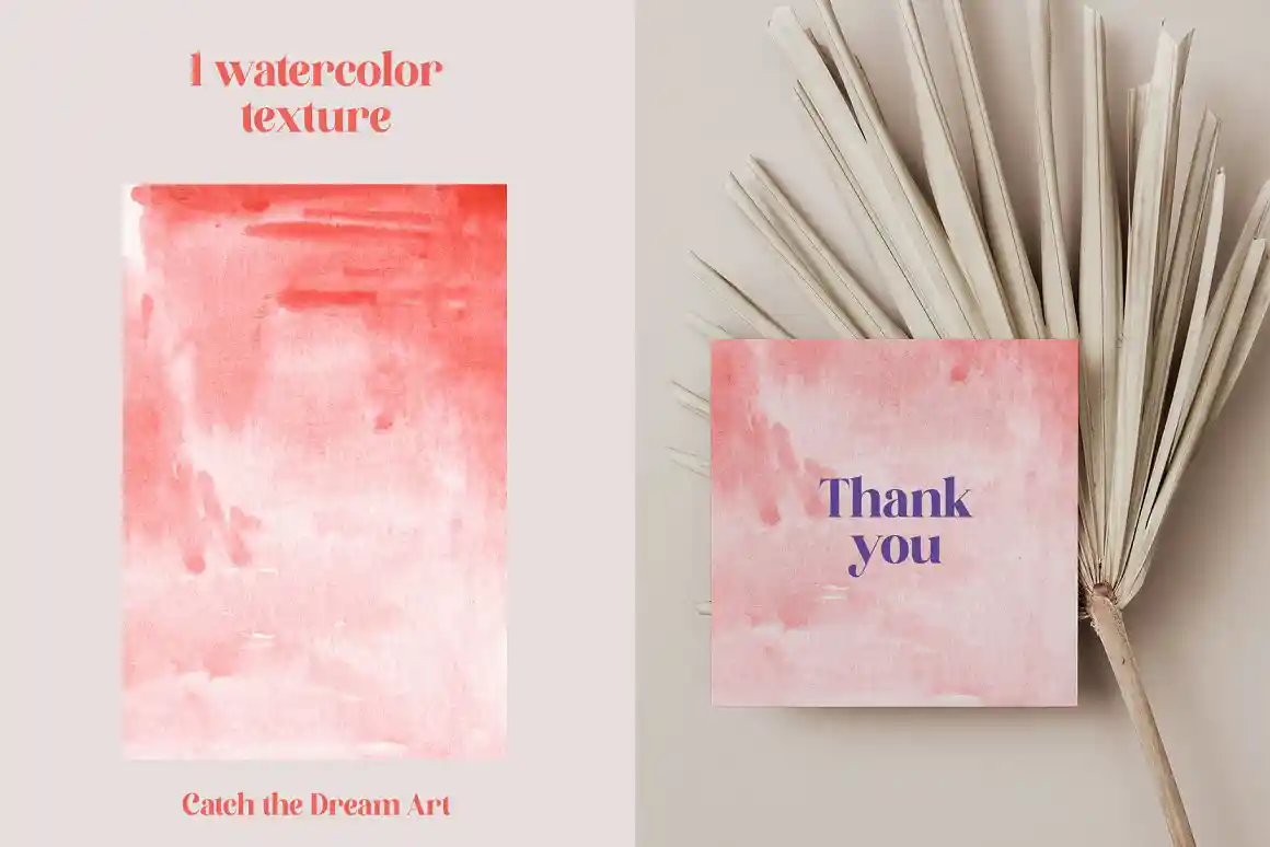 Poppy Flowers Illustrations