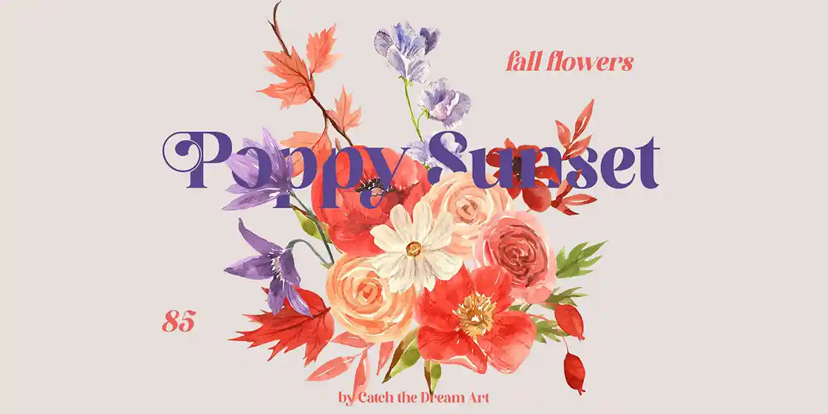 Poppy Flowers Illustrations