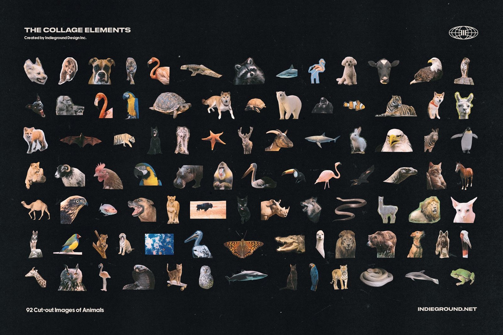 Digital Collage Elements PNGs