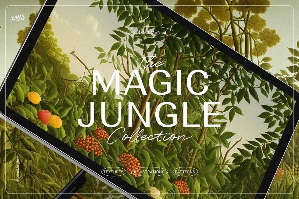 Magic Jungle Illustrations