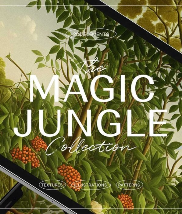 Magic Jungle Illustrations