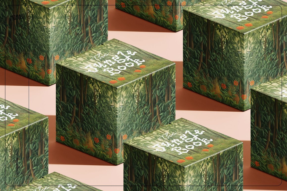 Magic Jungle Illustrations