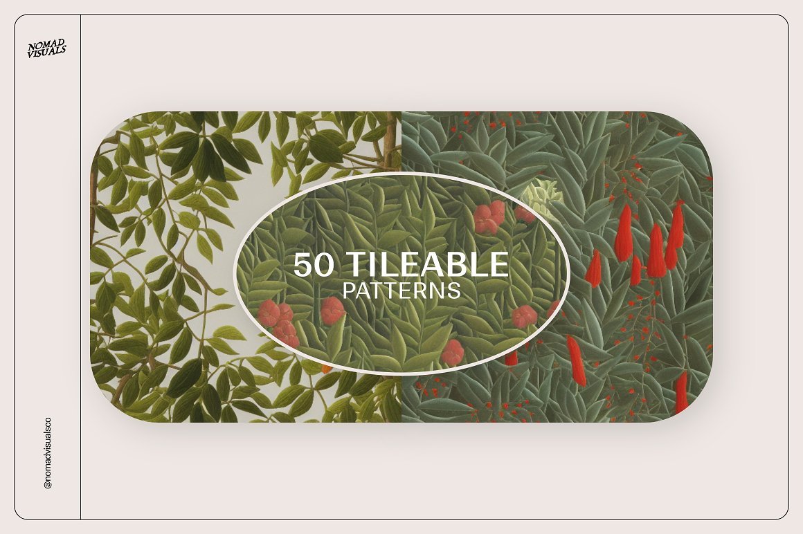 Magic Jungle Illustrations