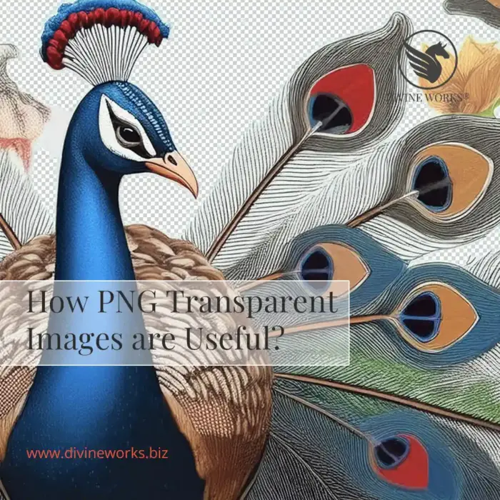 Png Transparent Images