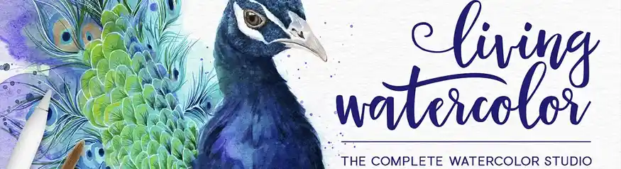 Procreate Watercolor Brush Studio by Pretty Little Lines on Creative Market